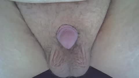 maggot online show from January 10, 1:44 am