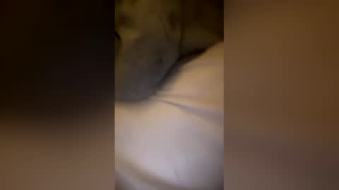 kingbbc6547 online show from February 11, 10:42 am