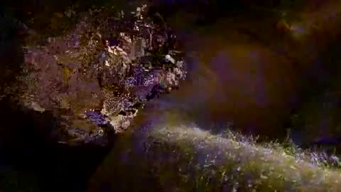 Kitkat loco online show from November 7, 12:41 pm