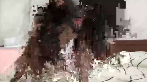 koifemboy online show from March 18, 12:41 pm