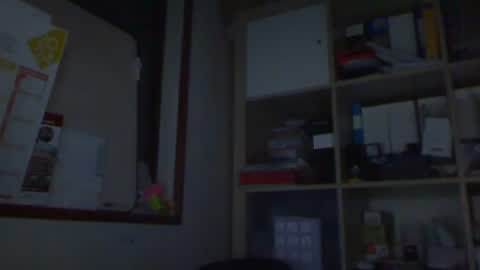 Snapshot of kokin3034 chatting on February 25, 2:44 pm kokin3034 online show from February 25, 2:44 pm