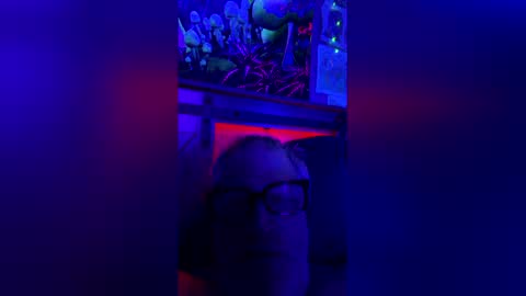 korysmith568 online show from February 7, 8:43 am