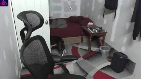 l1v1nth3dr3am online show from November 3, 8:07 am