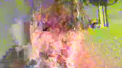 lathams1 online show from April 19, 8:55 pm