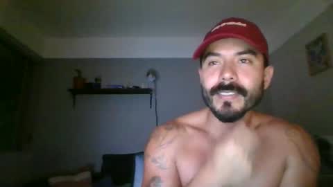 wolves online show from April 22, 2:18 am