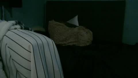 latinincognito online show from February 5, 7:18 am