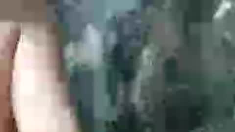 Chaton online show from June 21, 11:21 pm