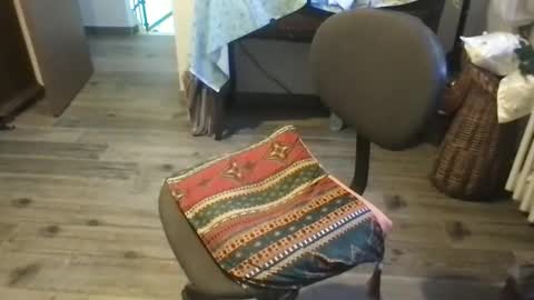 Libido11 online show from September 15, 12:39 pm