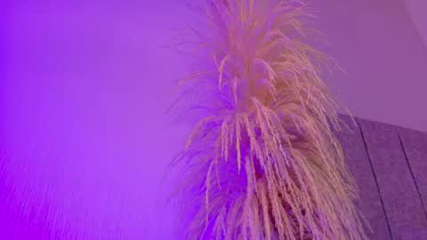 Liiam Luna online show from April 20, 11:02 am