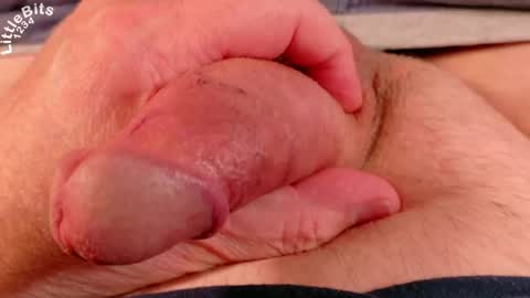 Littlebits online show from April 16, 12:27 pm