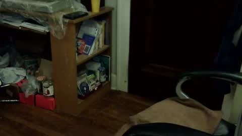 loades182025 online show from November 12, 3:34 am