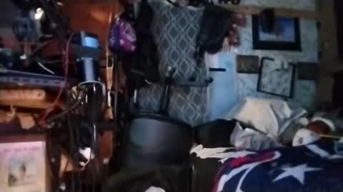 Mr. FogoDeChao online show from March 11, 11:39 am