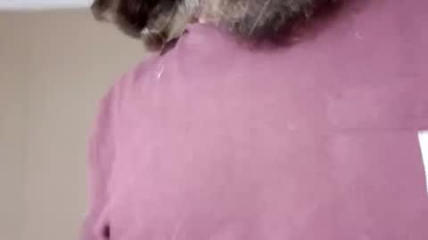 longone2600 online show from October 28, 6:27 am