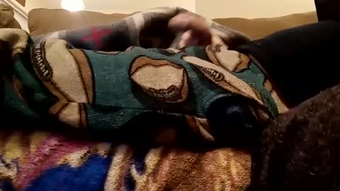 looking4bush online show from December 20, 2:08 am