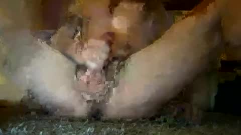 lookout44 online show from July 4, 8:23 pm