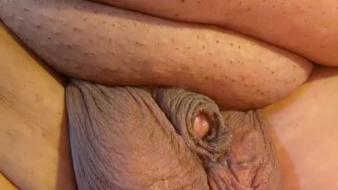 2791 3D online show from April 18, 6:04 am