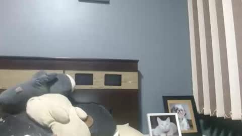 Louis bear online show from November 16, 3:41 am