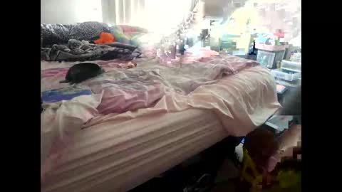 luciousloxs online show from February 6, 6:27 pm