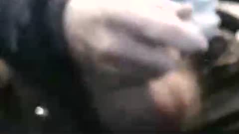 lukestarfckr online show from December 15, 8:39 pm