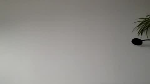 Lupine online show from March 8, 9:46 am