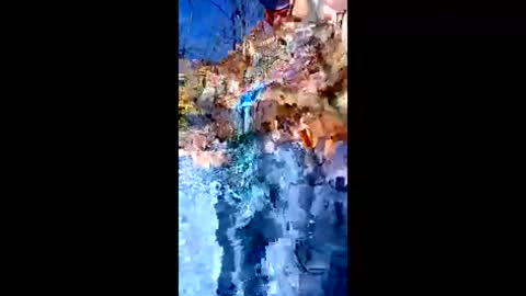 Peter Jacksone online show from January 10, 8:55 pm