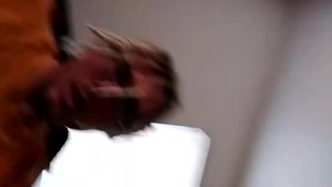 maccvillain online show from February 7, 9:37 pm