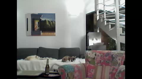 Snapshot of man38110 chatting on January 26, 8:23 pm man38110 online show from January 26, 8:23 pm
