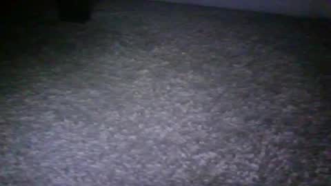 manontheprowll online show from December 21, 2:52 am