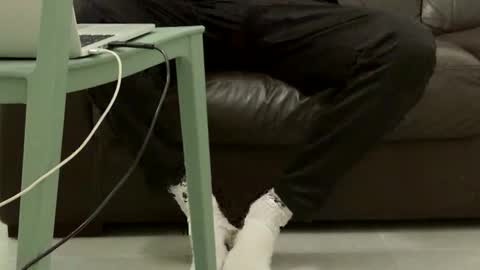 manu97k online show from March 14, 11:28 am