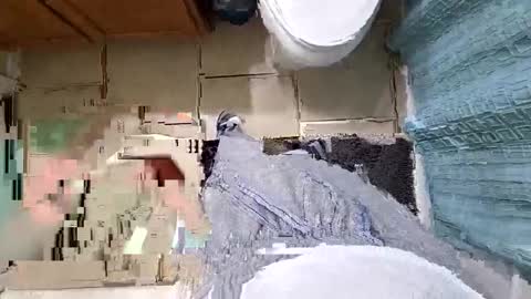 maskedmagikstik online show from December 19, 5:59 am