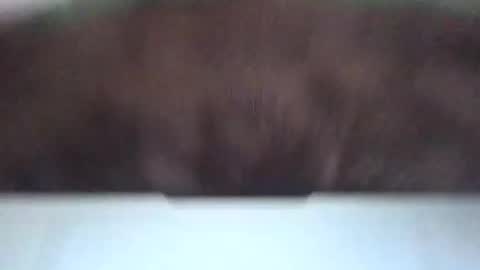 massivehungbigdick online show from June 2, 9:05 pm