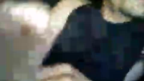 matiasva73 online show from July 7, 9:57 am