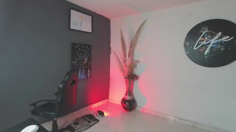 Snapshot of mattias_dantee chatting on January 18, 2:12 pm mattias online show from January 18, 2:12 pm