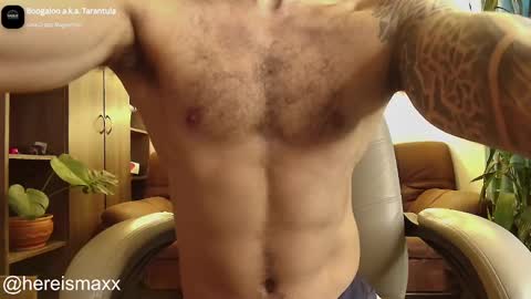 Snapshot of max_greenn chatting on October 10, 10:12 pm Max Follow me IGX hereismaxx online show from October 10, 10:12 pm
