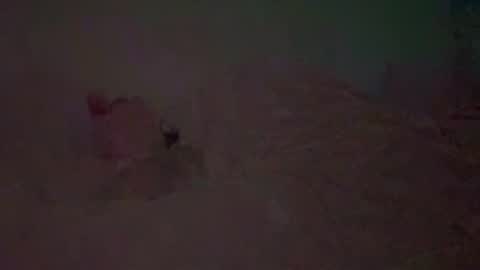 mdsweet online show from January 11, 4:55 pm