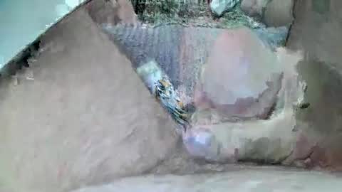 mexianthehawk online show from November 30, 5:09 am