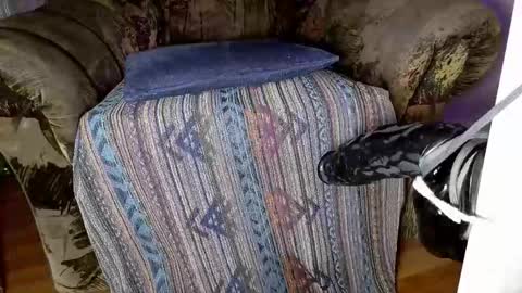 ViBardii online show from March 22, 5:51 pm