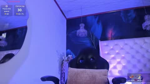 Snapshot of michaelbear_ chatting on December 19, 1:29 pm Michael online show from December 19, 1:29 pm