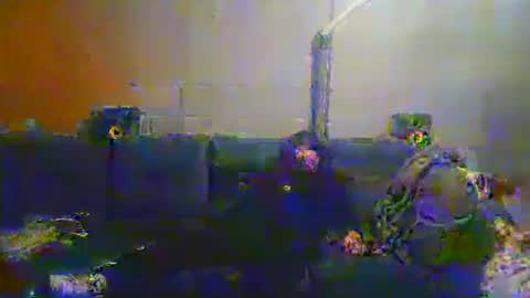 midtownhustler online show from November 24, 2:23 am