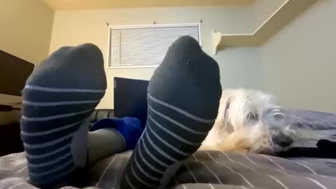 mik138 online show from December 5, 10:39 pm