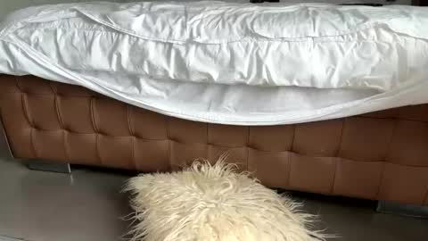 djfuckoff online show from March 2, 1:40 pm