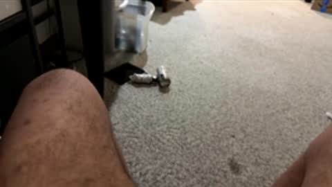 moosho online show from March 31, 12:18 pm