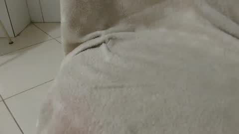 morenokaxu online show from January 4, 12:48 am