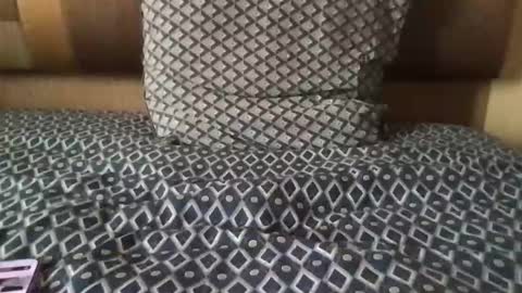 morrow7 online show from September 9, 2:27 pm