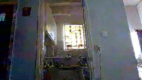 mppempis81 online show from November 17, 7:22 am