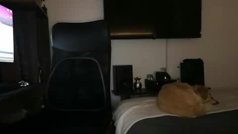 Snapshot of mrmiss_dannys chatting on March 1, 3:10 am mrmiss_dannys online show from March 1, 3:10 am