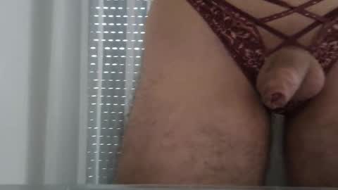 Msclcdboy online show from October 24, 11:34 am