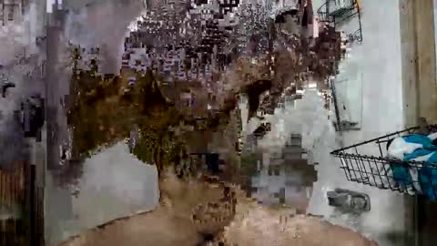 nastynate7828 online show from February 19, 2:30 am