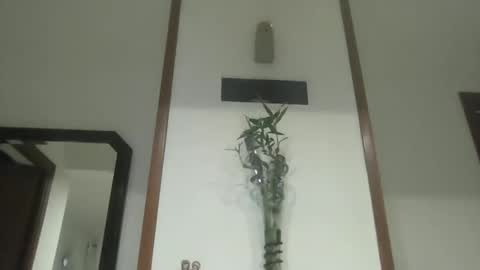 nata1974 online show from April 13, 3:34 pm