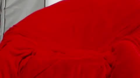 neccesitysexxxxx online show from June 1, 7:47 pm